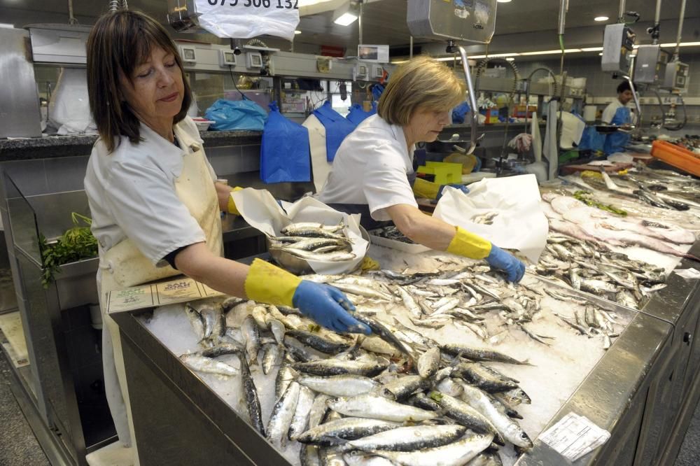 Pocas sardinas en A Coruña en vísperas de San Juan