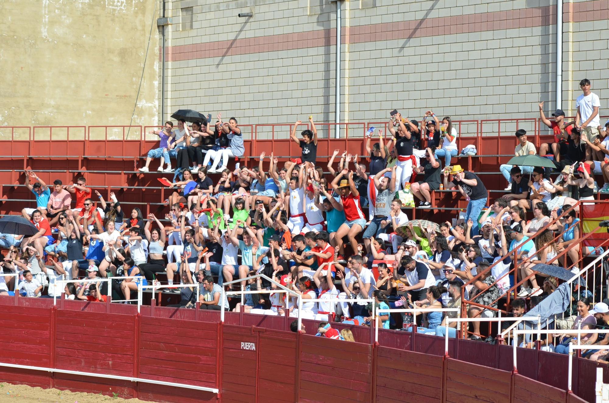 Fiestas del Toro en Benavente: Las mejores imágenes del "Juego de la NTE"