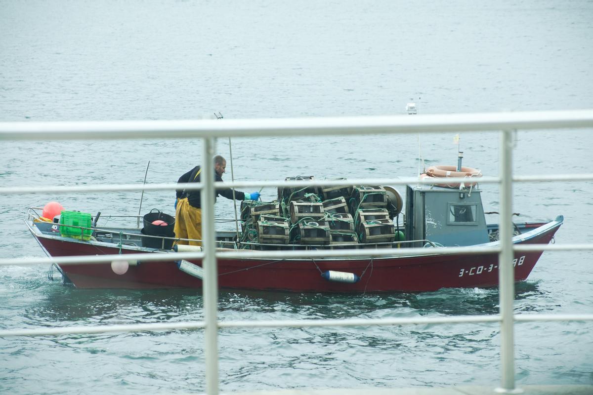 Pesca de pulpo, cangrejos, langostas, pescador en barco con cestas de red.