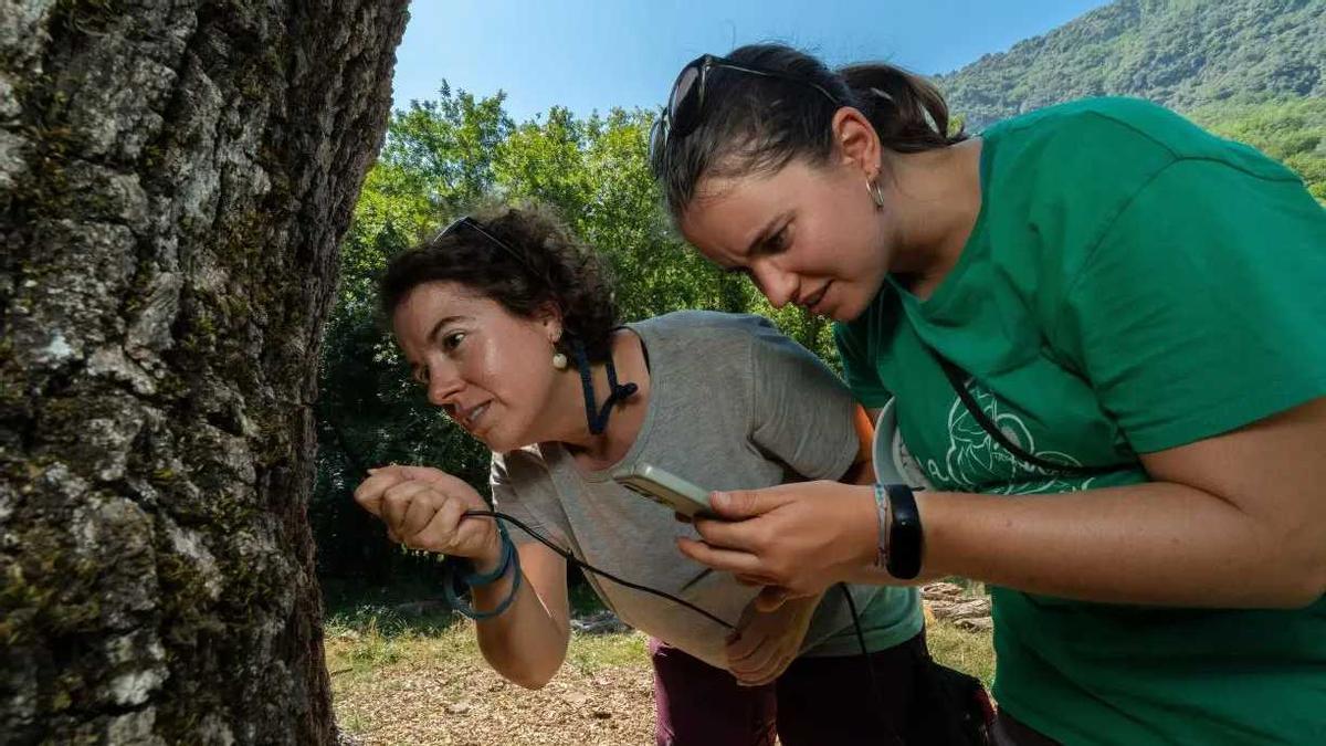 Sandra Saura i Laura Olivé, als Roures dels Reis de l'Alta Garrotxa.