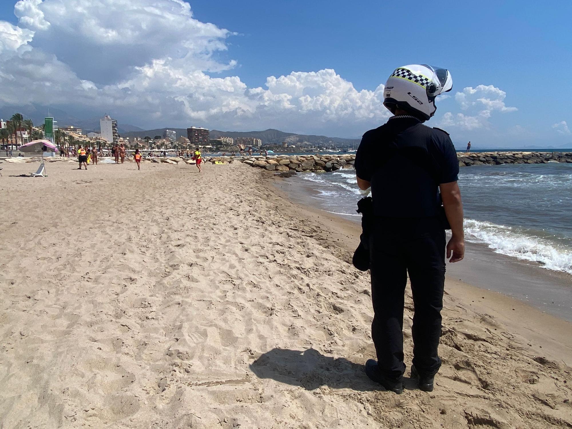 Abaten a un jabalí en El Campello tras obligar de desalojar una playa y dejar dos heridos