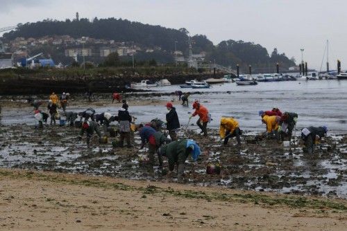 Mariscadoras en Arealonga