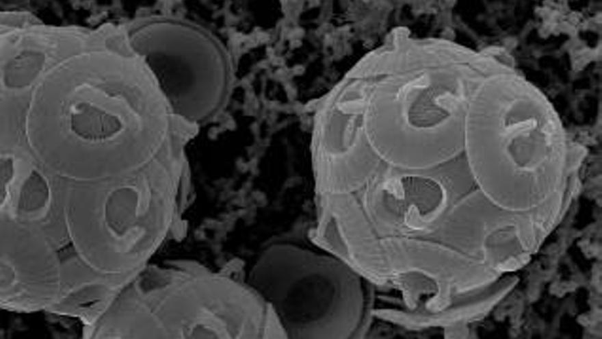 Un estudio de la Universidad de Oviedo demuestra el impacto del dióxido de carbono en el clima del planeta