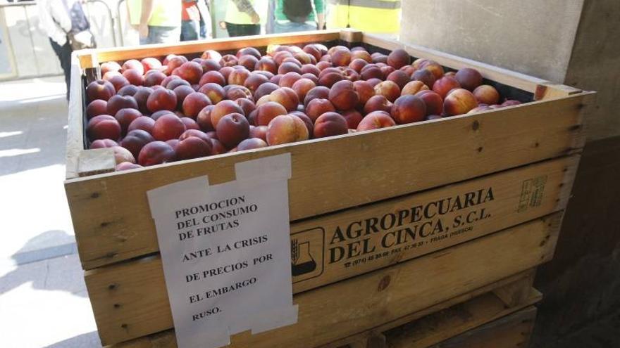 Los fruticultores aragoneses llevan sus protestas a Madrid