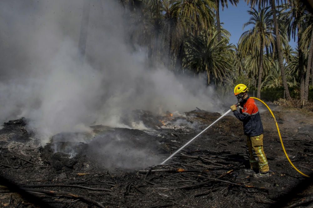 Fuego en el Palmeral de Elche