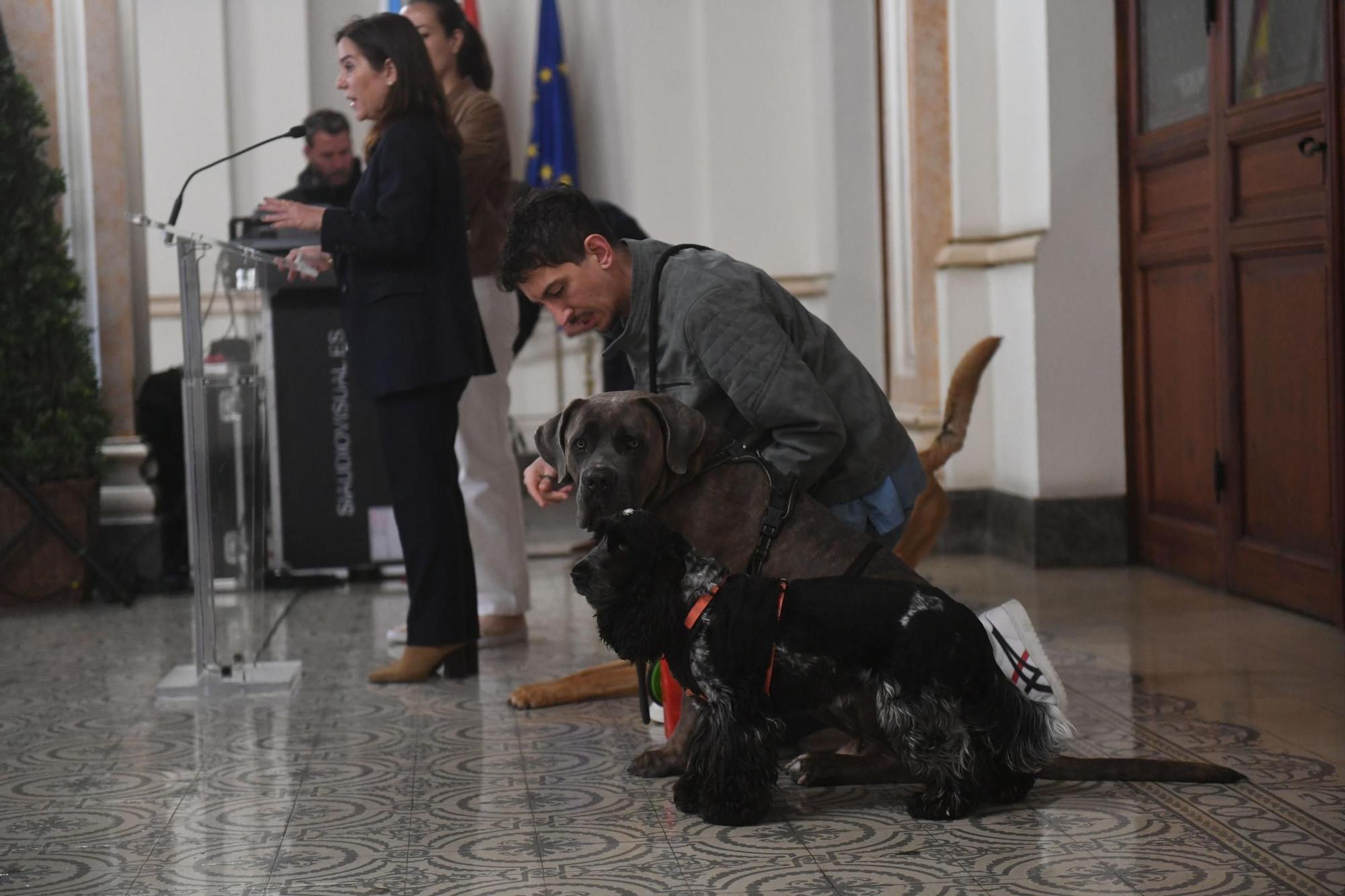 Los perros podrán ir a las playas de A Coruña en invierno sin correa
