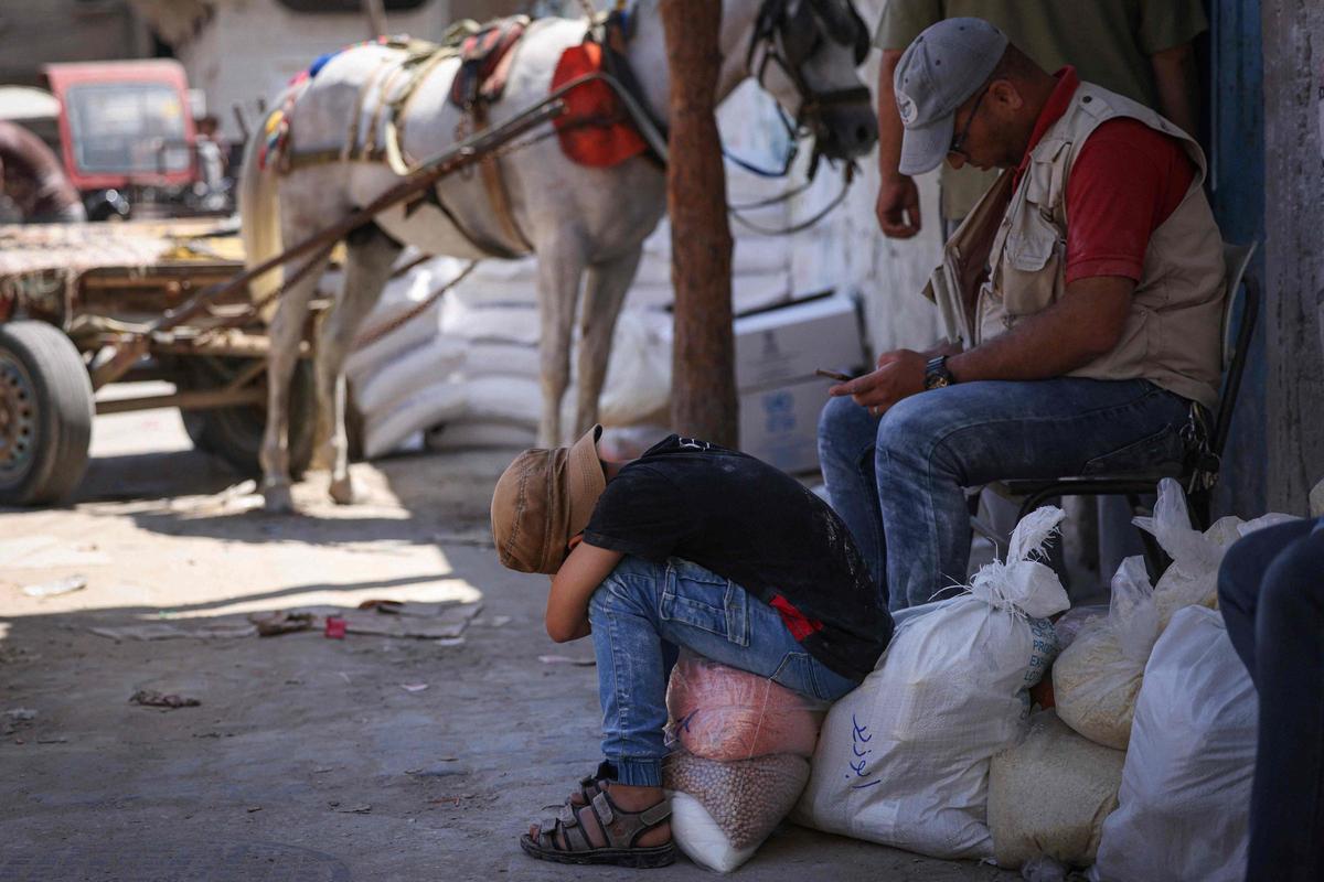 Un niño palestino descansa sobre una bolsa de comida proporcionada por el PMA. Un niño palestino descansa sobre una bolsa de comida proporcionada por el PMA.