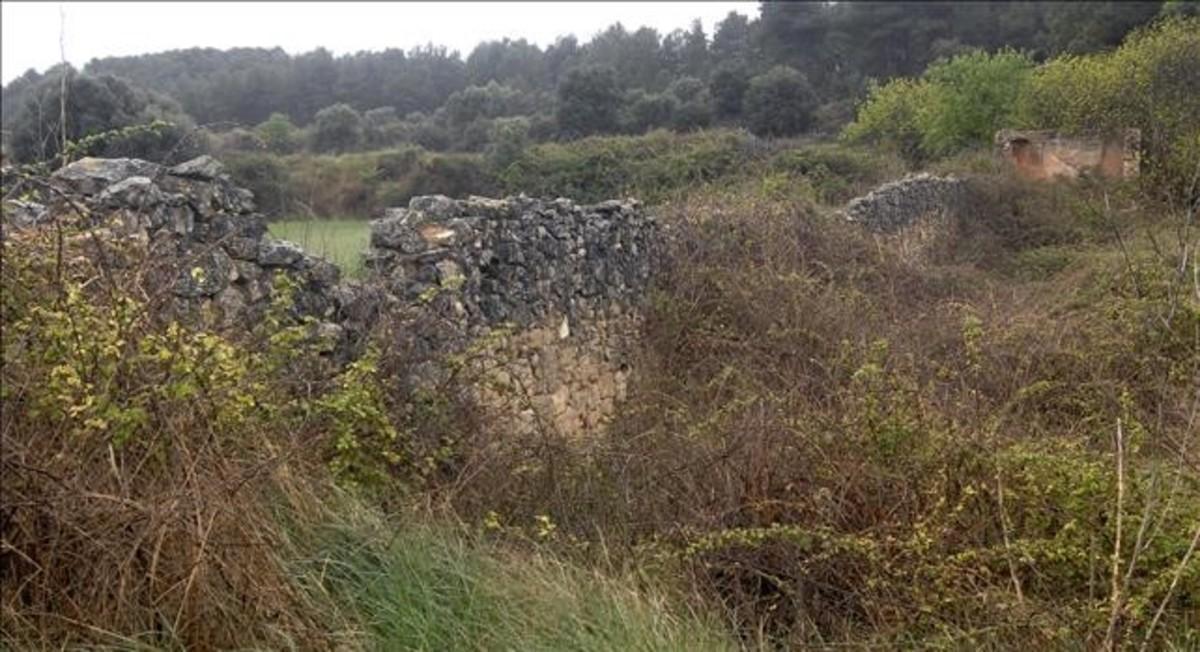 zentauroepp18876570 gandesa terra alta 11 04 2012 fosas comunes batalla de l 170518131947 zentauroepp18876570 gandesa terra alta 11 04 2012 fosas comunes batalla de l 170518131947