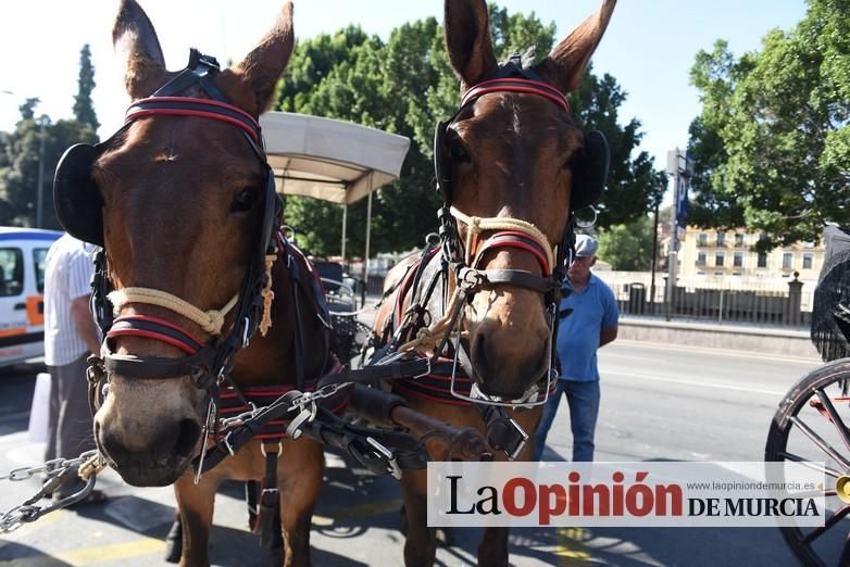 Ruta a caballo desde la ciudad al corazón de la hu