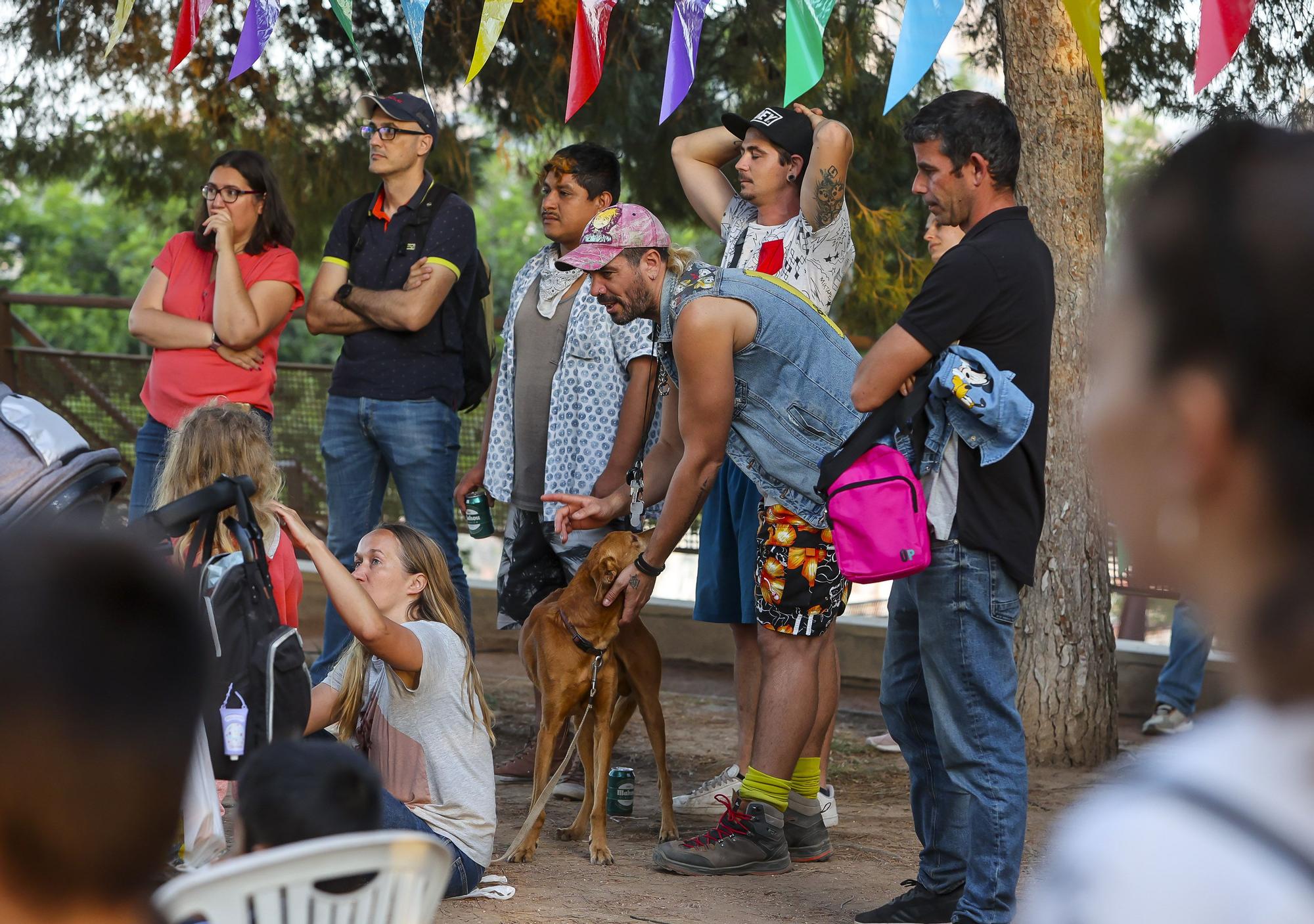 Alacant Desperta