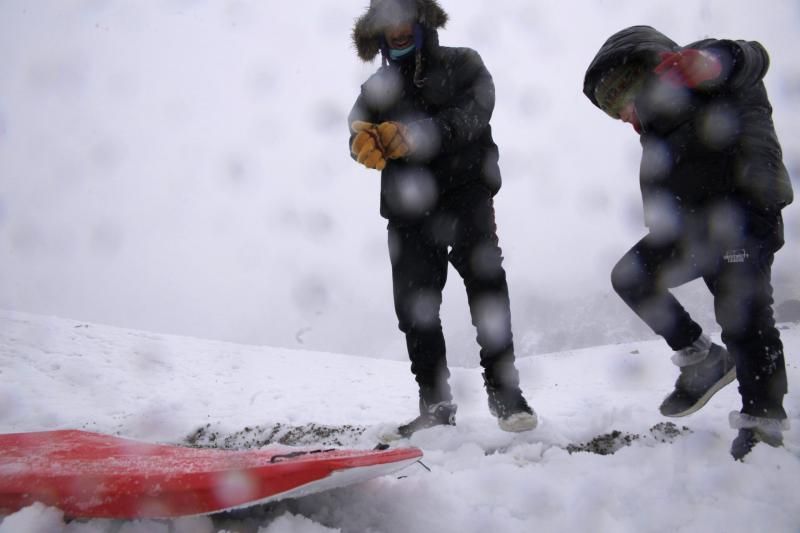 Visita al Teide nieve  | 06/12/2019 | Fotógrafo: Delia Padrón