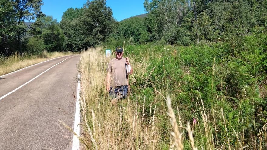 Los vecinos piden la limpieza de cunetas de la carretera desde Ilanes a Sotillo