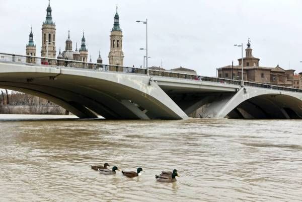 Fotogalería: El Ebro crece a su paso por Zaragoza