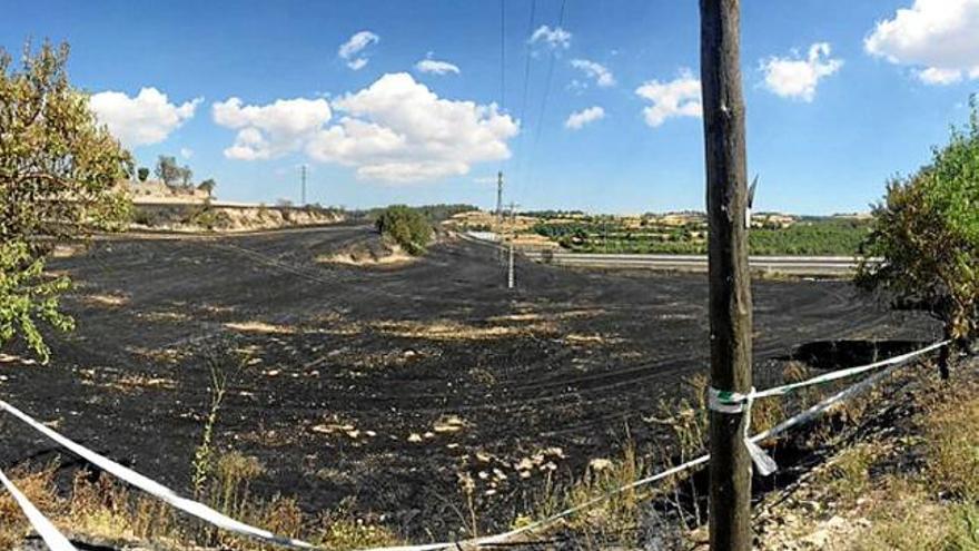 Camps cremats com a conseqüència de l&#039;incendi