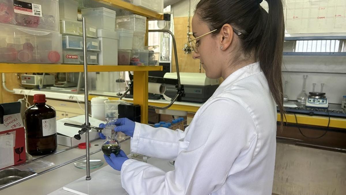 İYİ ÖDEMELİ İŞLER | Elveda üniversite diploması: bunlar diplomaya ihtiyacınız olmayan en iyi maaşlı işler