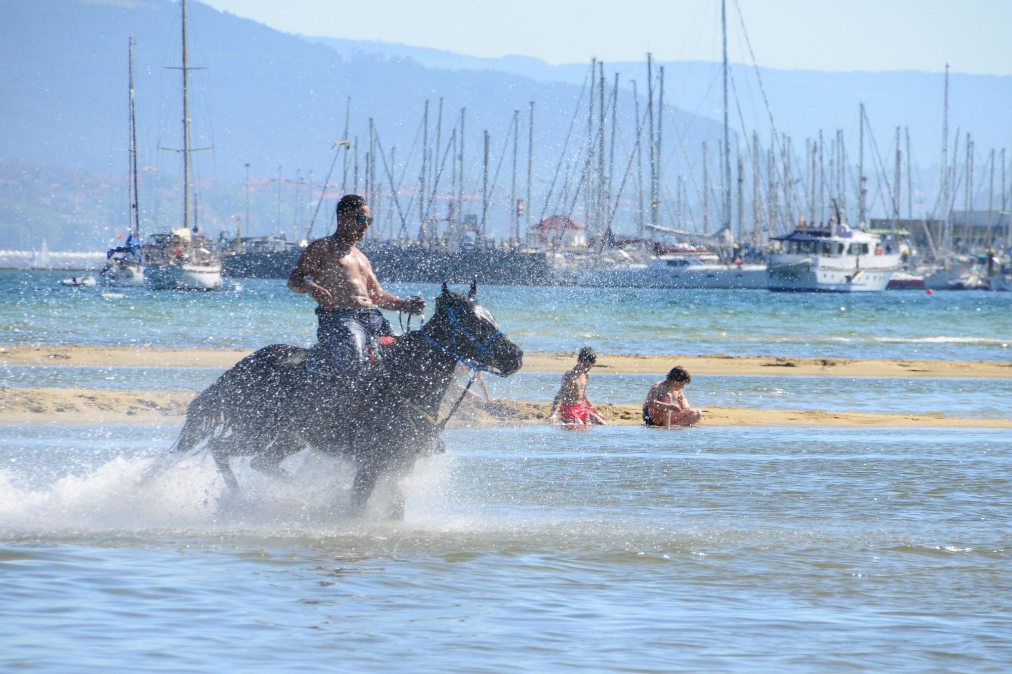 Una espectacular jornada a caballo por Moaña (I)
