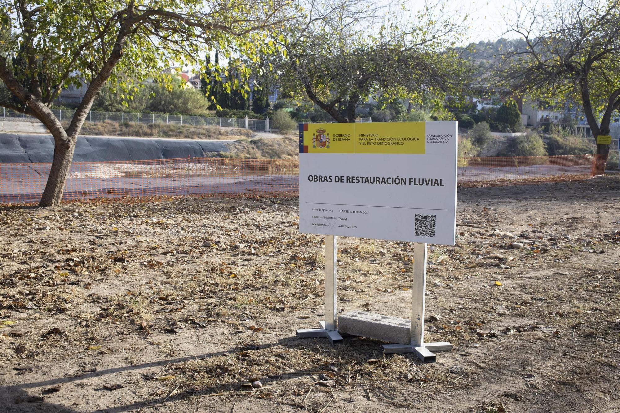 Recuperación del bosque de ribera en el río Albaida