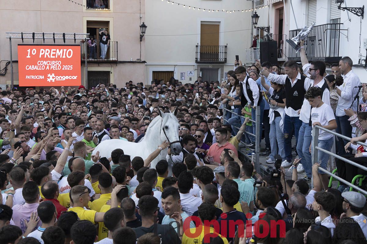 Fiestas de Caravaca | Entrega de premios del concurso morfológico
