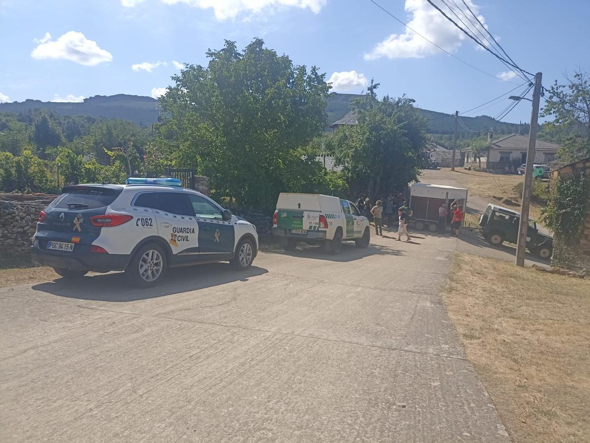 Agentes de la Guardia Civil y efectivos medioambiantales una vez capturado el ciervo