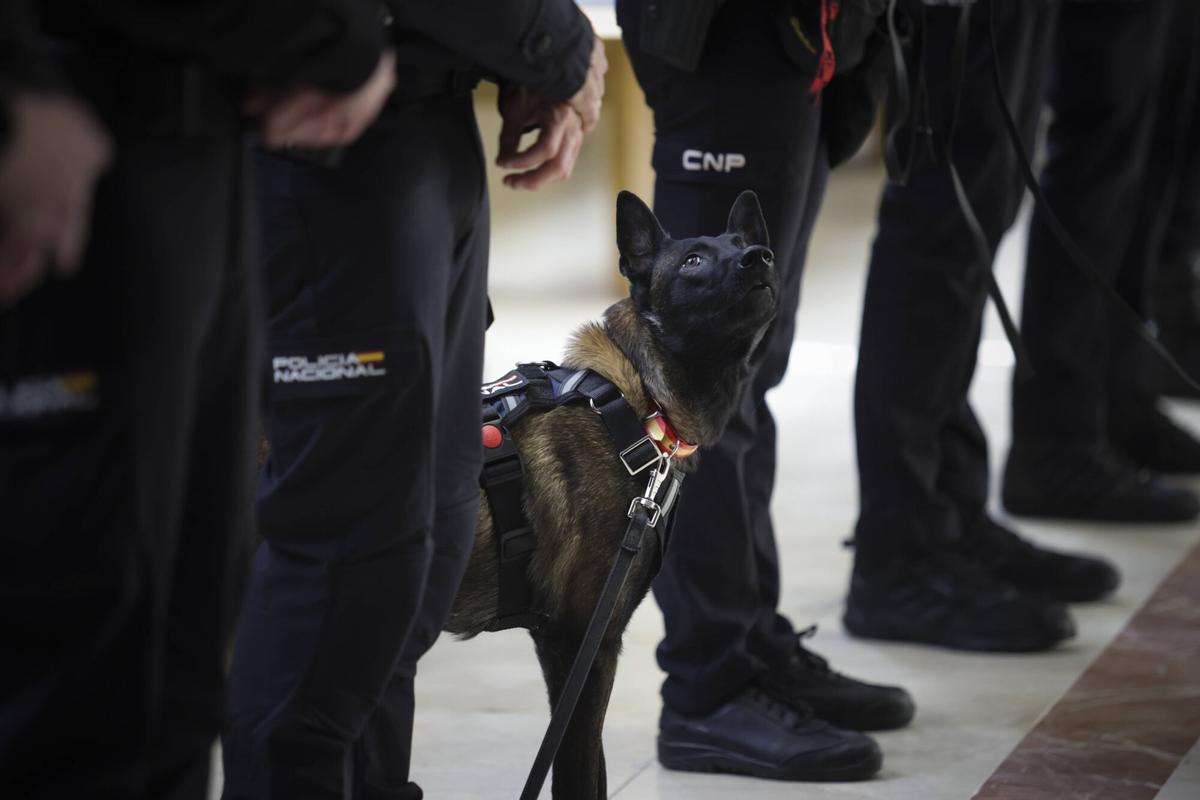 Así fue el acto del aniversario de la Policía Nacional