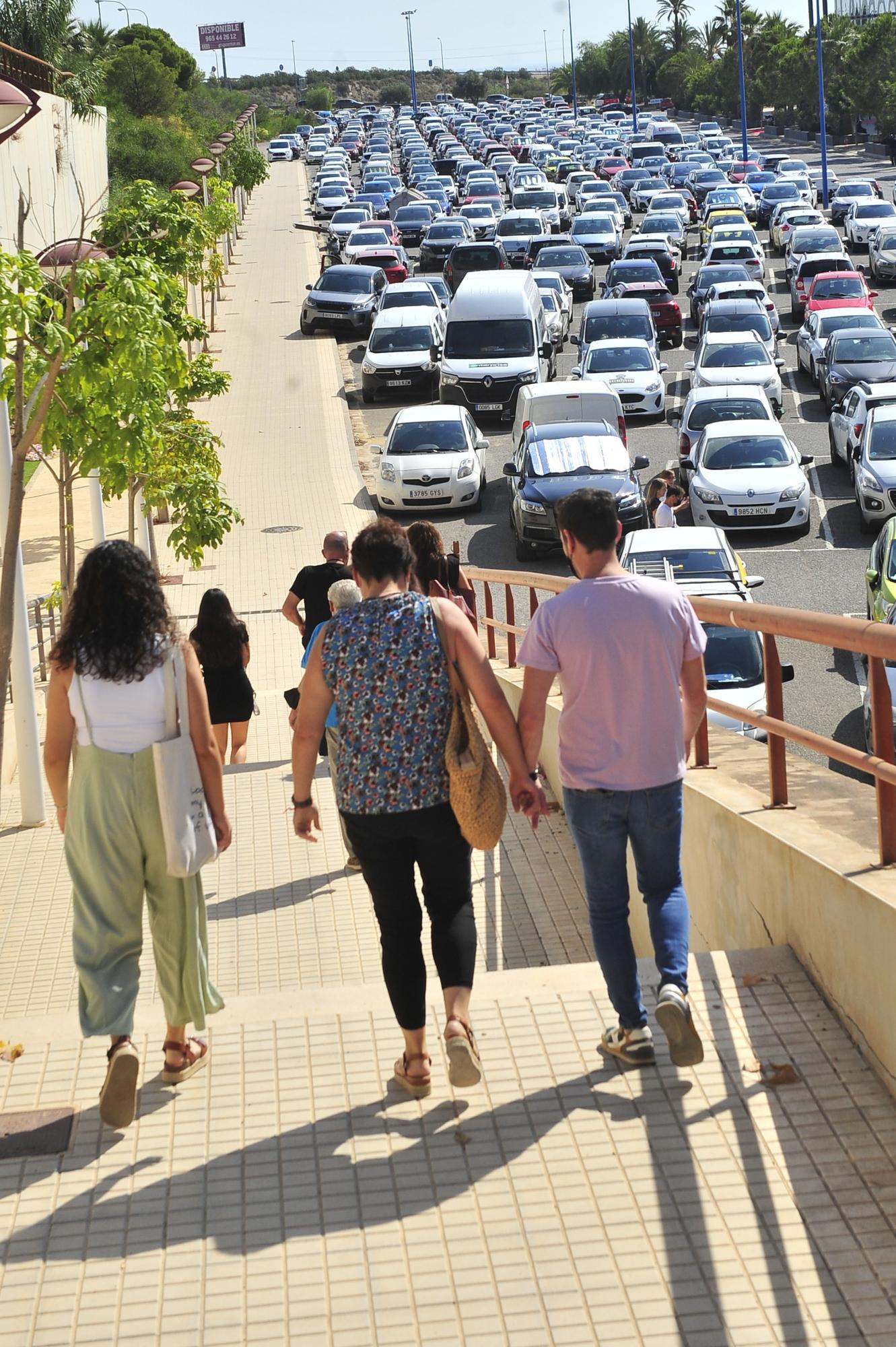 Alicante Gastronómica