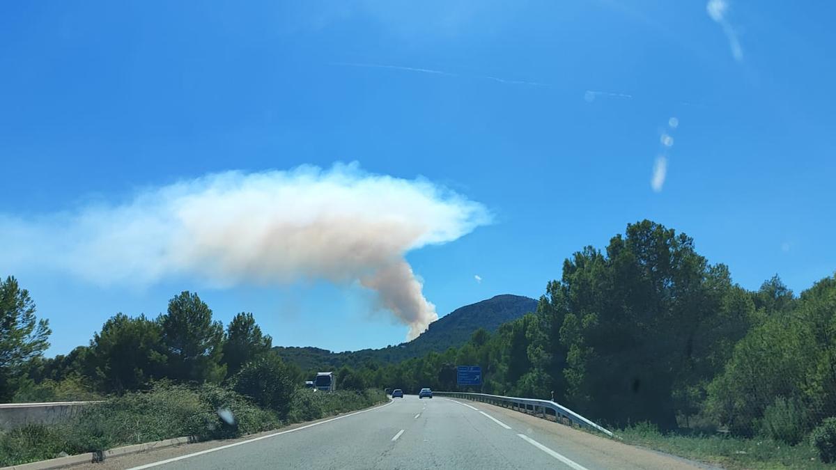 Columna de humo del incendio declarado en Puçol en la serra Calderona. ED