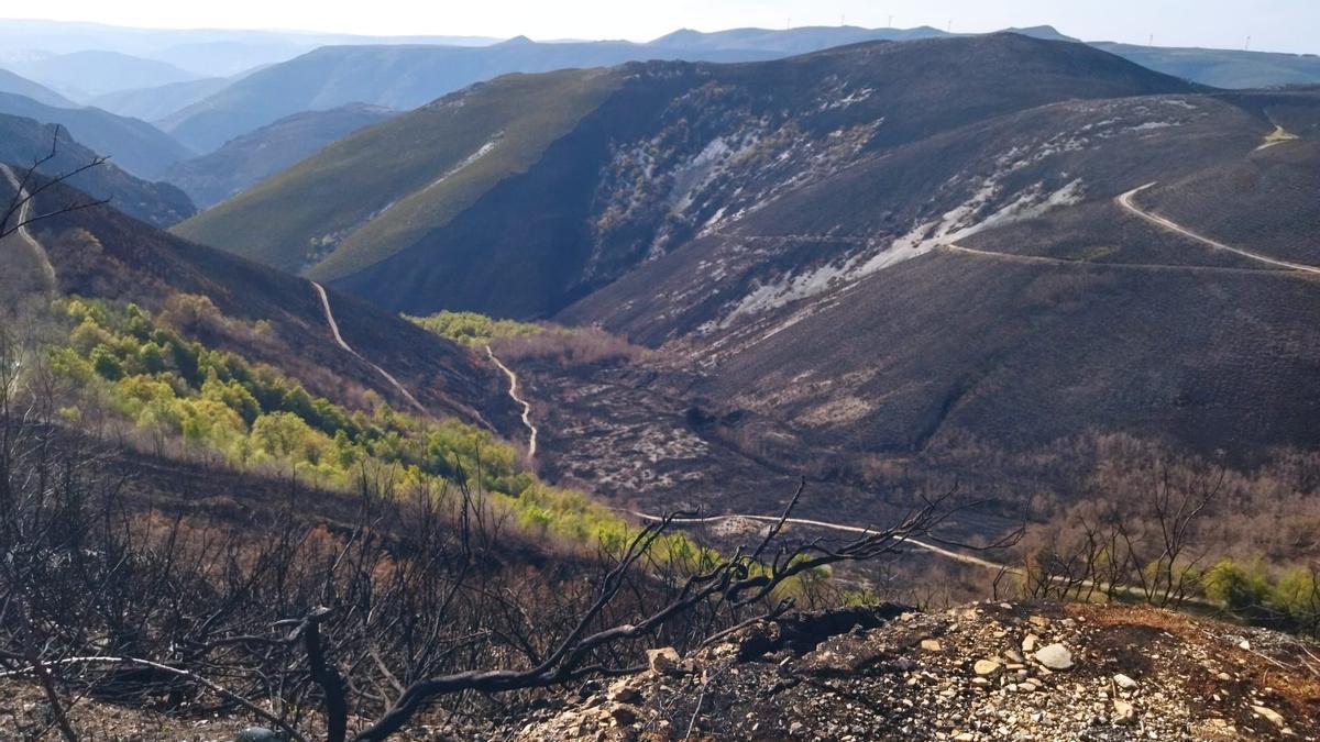 Terreno calcinado en Allande de Aladino Barros