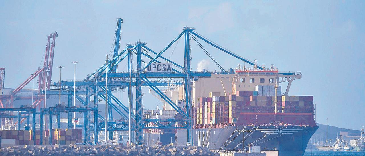 Un buque de MSC recala en el puerto de Las Palmas.