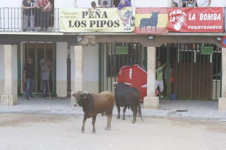 Encierro urbano en Fuentesaúco.