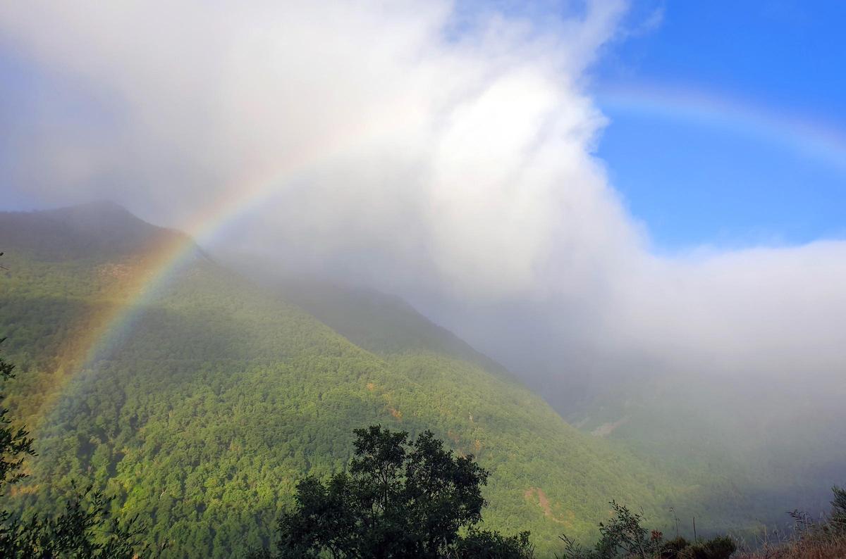 Lugo (Valle de Ancares). Arcoíris sobre bosques (montes) de árboles
