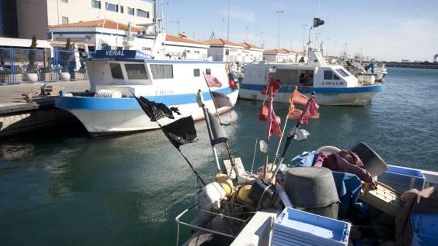 Guillamón lamenta «la competencia desleal» a los pescadores del Grau