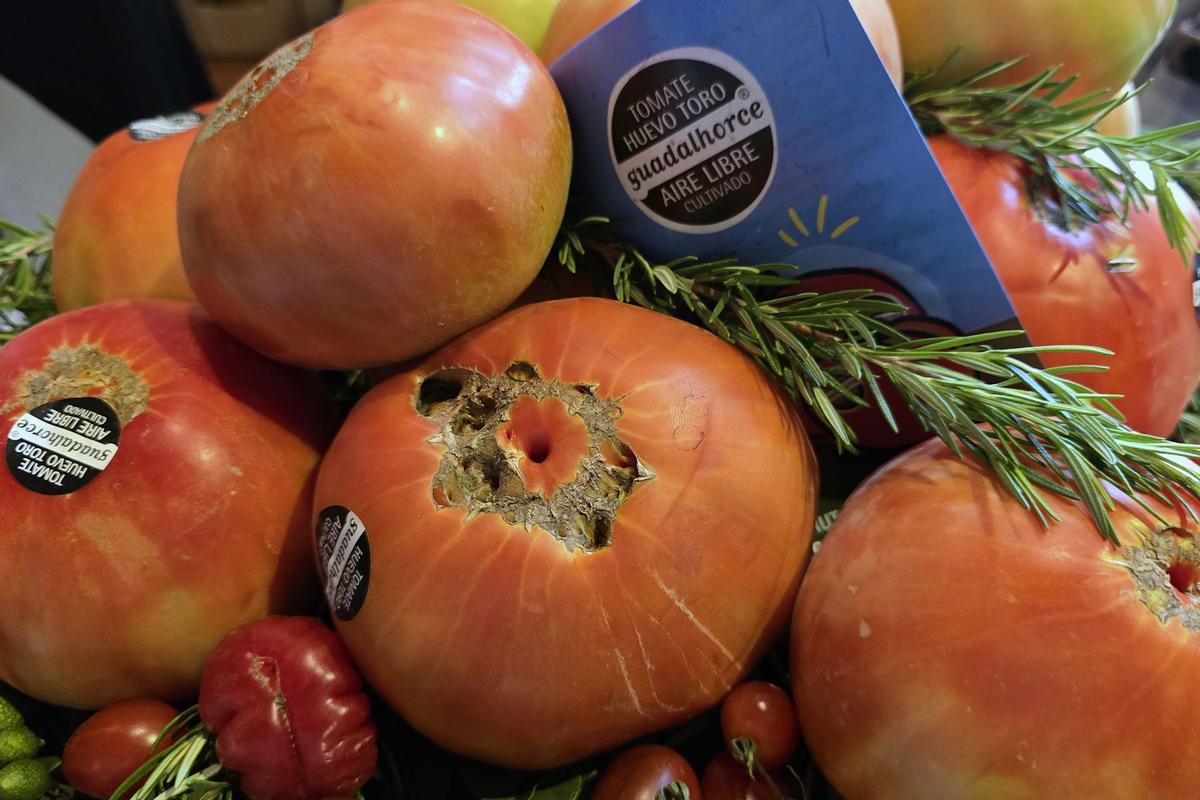 El tomate Huevo de Toro es muy apreciado por su sabor y textura.