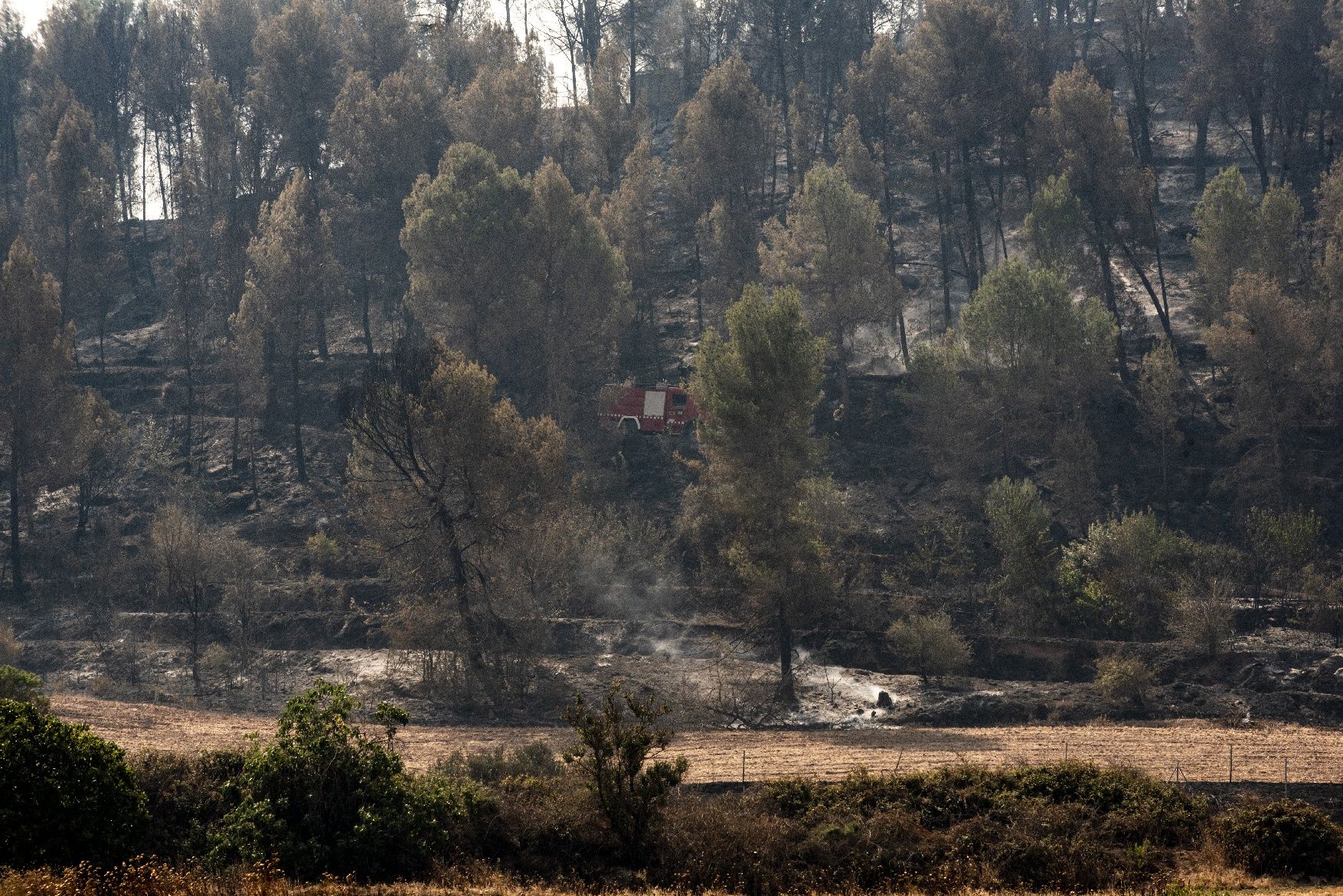 Afectació per l'incendi a la urbanització de les Brucardes