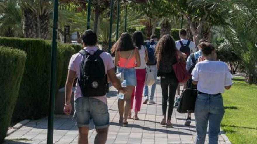 Un grupo de estudiantes de la Universidad Miguel Hernández, en el campus de Elche.