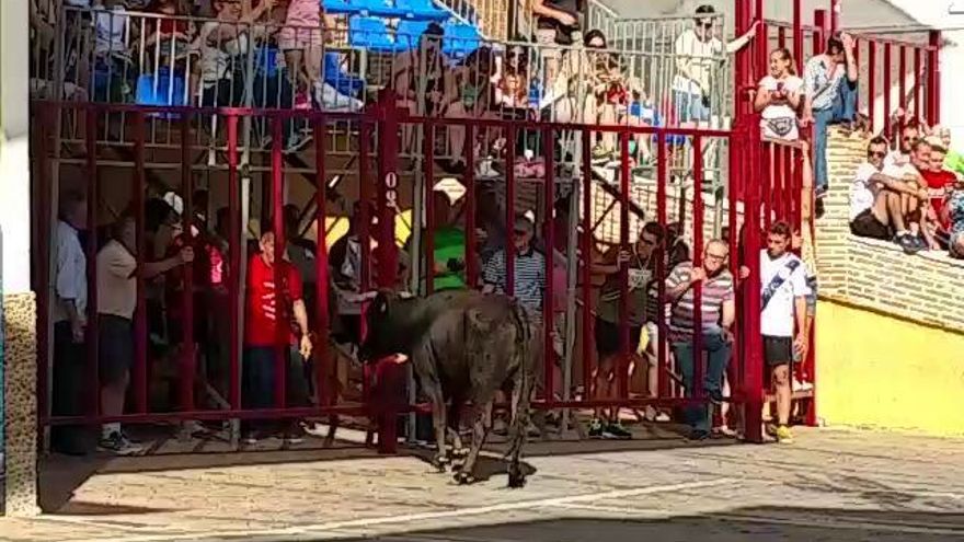 Encierro en las fiestas de Moratalla