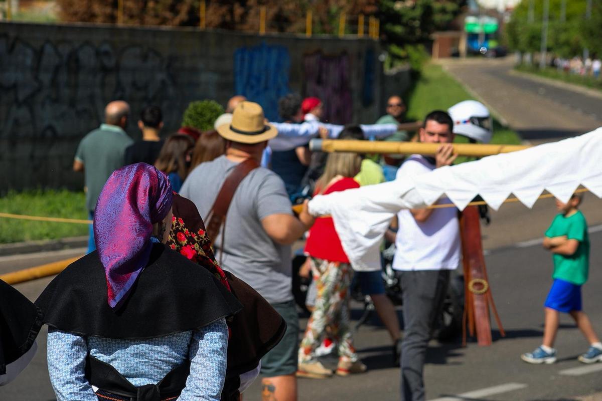 GALERÍA | Encuentro de pendones en las calles de Zamora