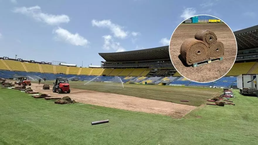 Nuevo césped del Estadio de Gran Canaria