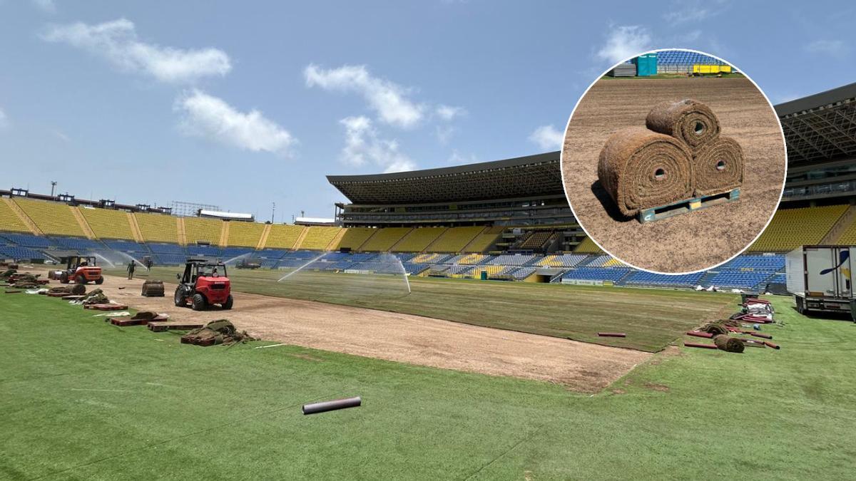 Nuevo césped del Estadio de Gran Canaria