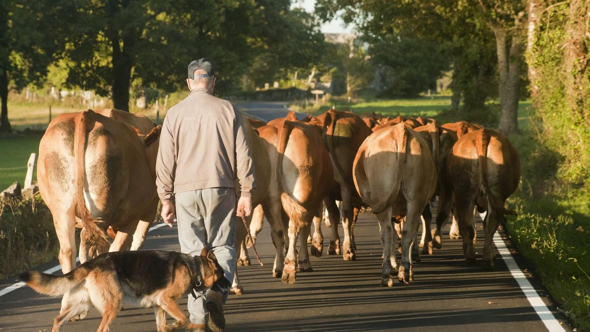 La cadena apuesta por la sostenibilidad para ofrecer un mejor producto