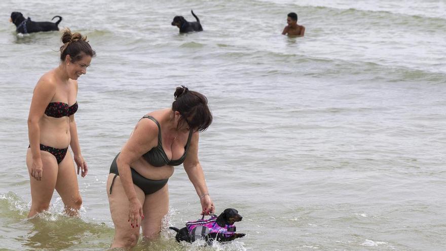 La playa de Perros de Pinedo