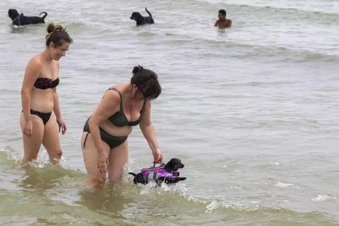 La playa de Perros de Pinedo