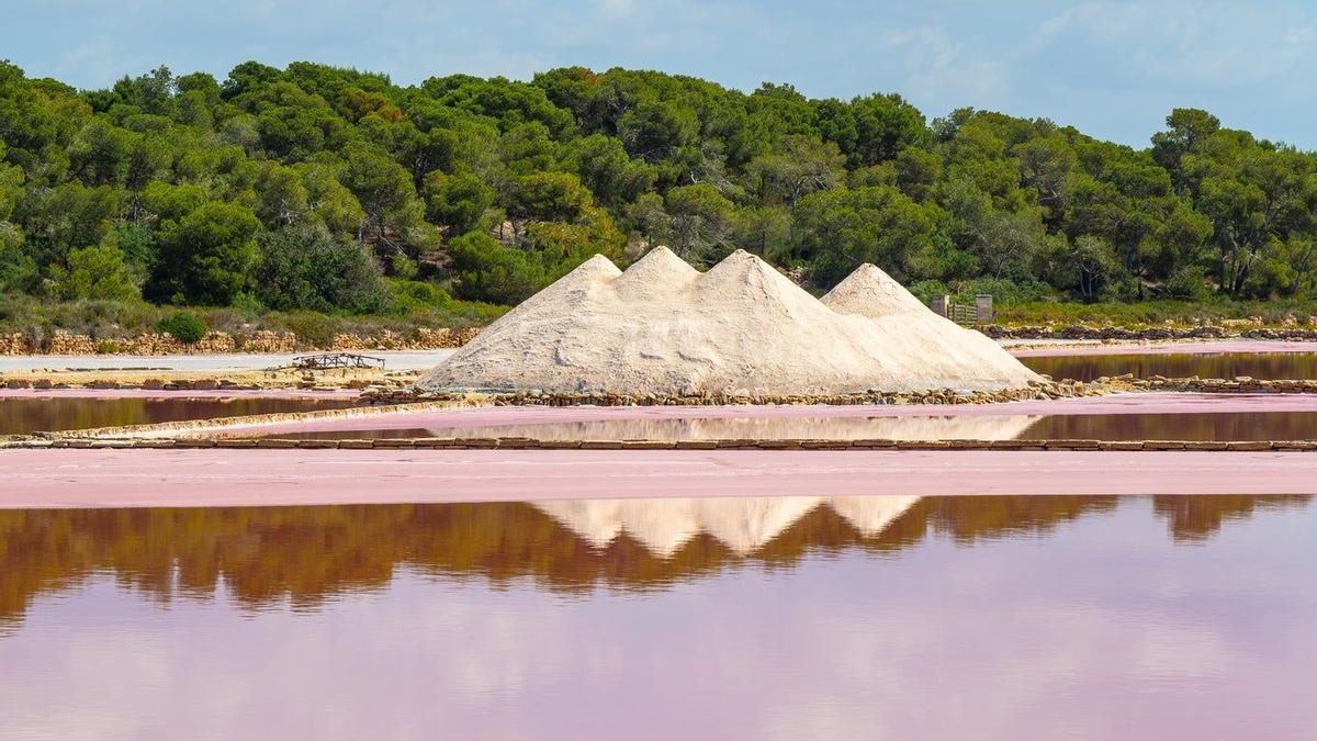 Ses Salines el paraíso de sal