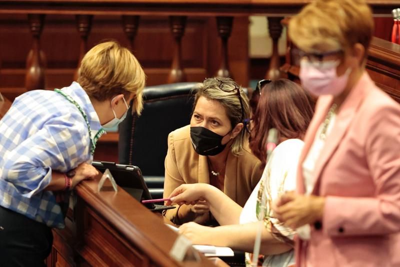 Pleno del Parlamento de Canarias