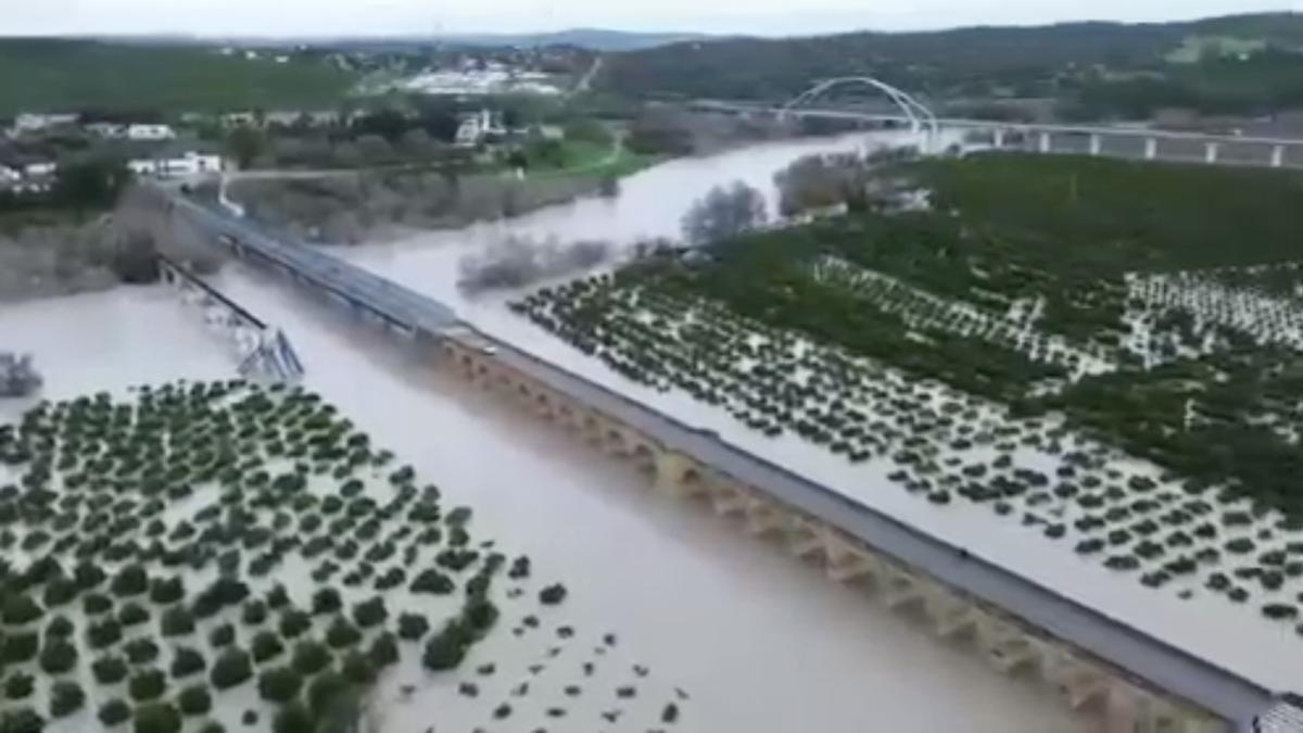Las zonas anegadas en Palma del Río, a vista de dron