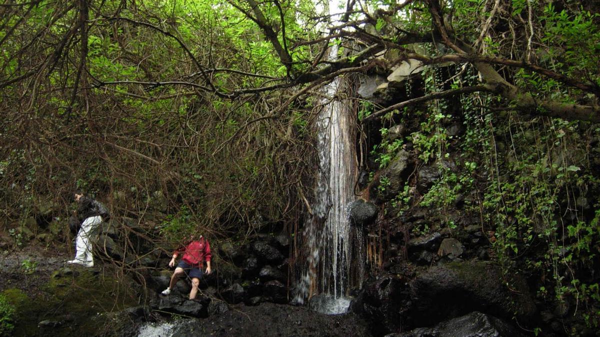 La Policía Local aumenta la vigilancia en el Barranco de Los Cernícalos y el área recreativa Adolfo Santana ante el incremento de visitantes