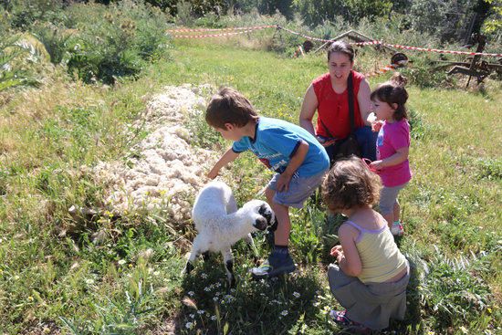 Visitants a Oli de Ventalló durant les jornades de