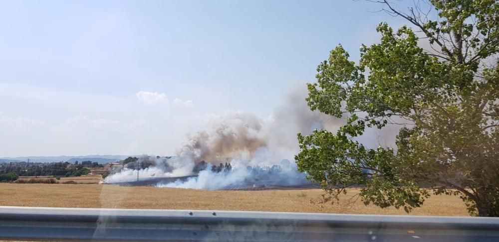 Incendi forestal a Sant Fruitós de Bages