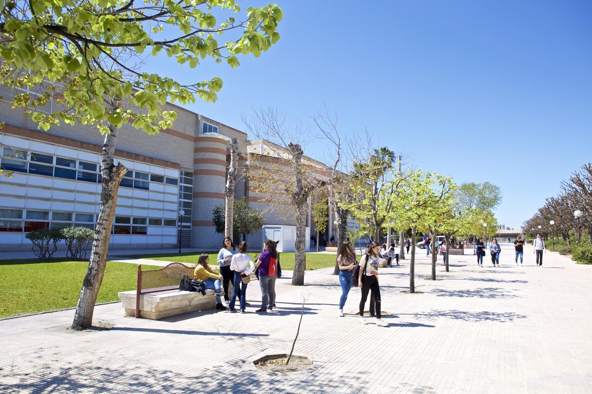 El campus de la Universidad de Alicante, a vista de pájaro.