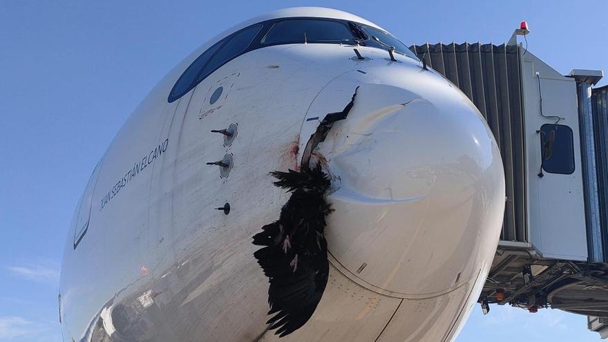 Estado en el que quedó el morro del avión de Iberia tras colisionar contra un buitre en su aterrizaje en Barajas