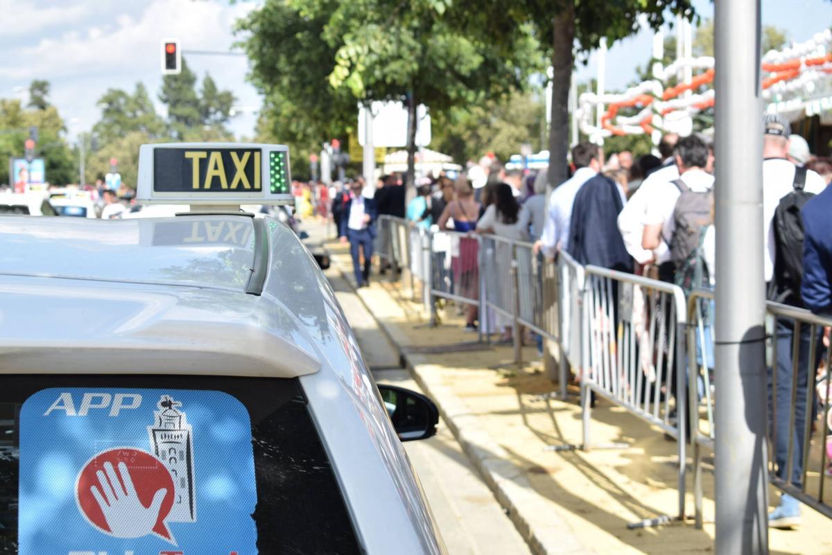 Taxis en la parada de la Feria de Sevilla en 2025.